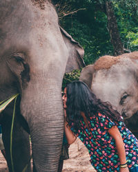 Woman kissing elephant while standing in zoo