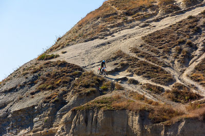 Rear view of man walking on mountain