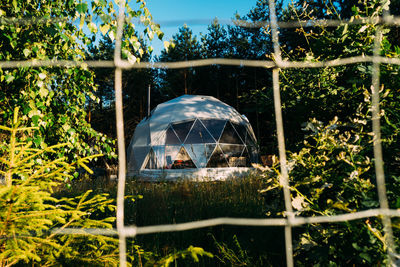 View of tent on grass against trees