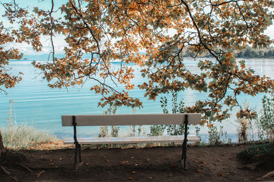 Empty bench in park during autumn