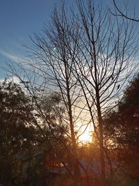 Low angle view of silhouette bare trees in forest against sky