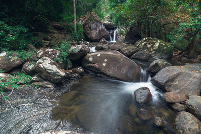 Stream flowing through rocks in forest