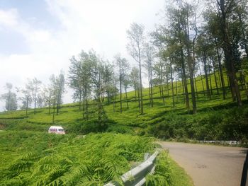Road amidst field against sky