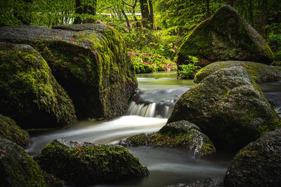 View of waterfall in forest