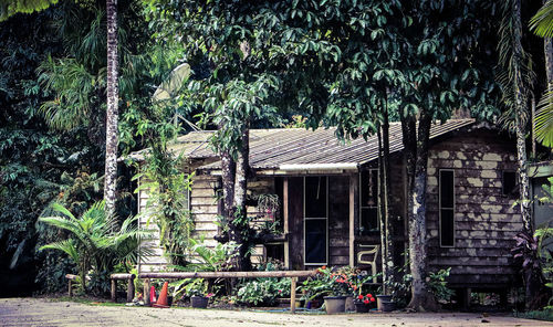 Plants and trees in front of building