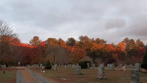 autumn