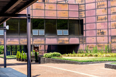 Plants growing outside building