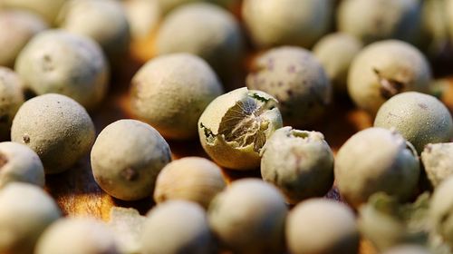 Full frame shot of seeds