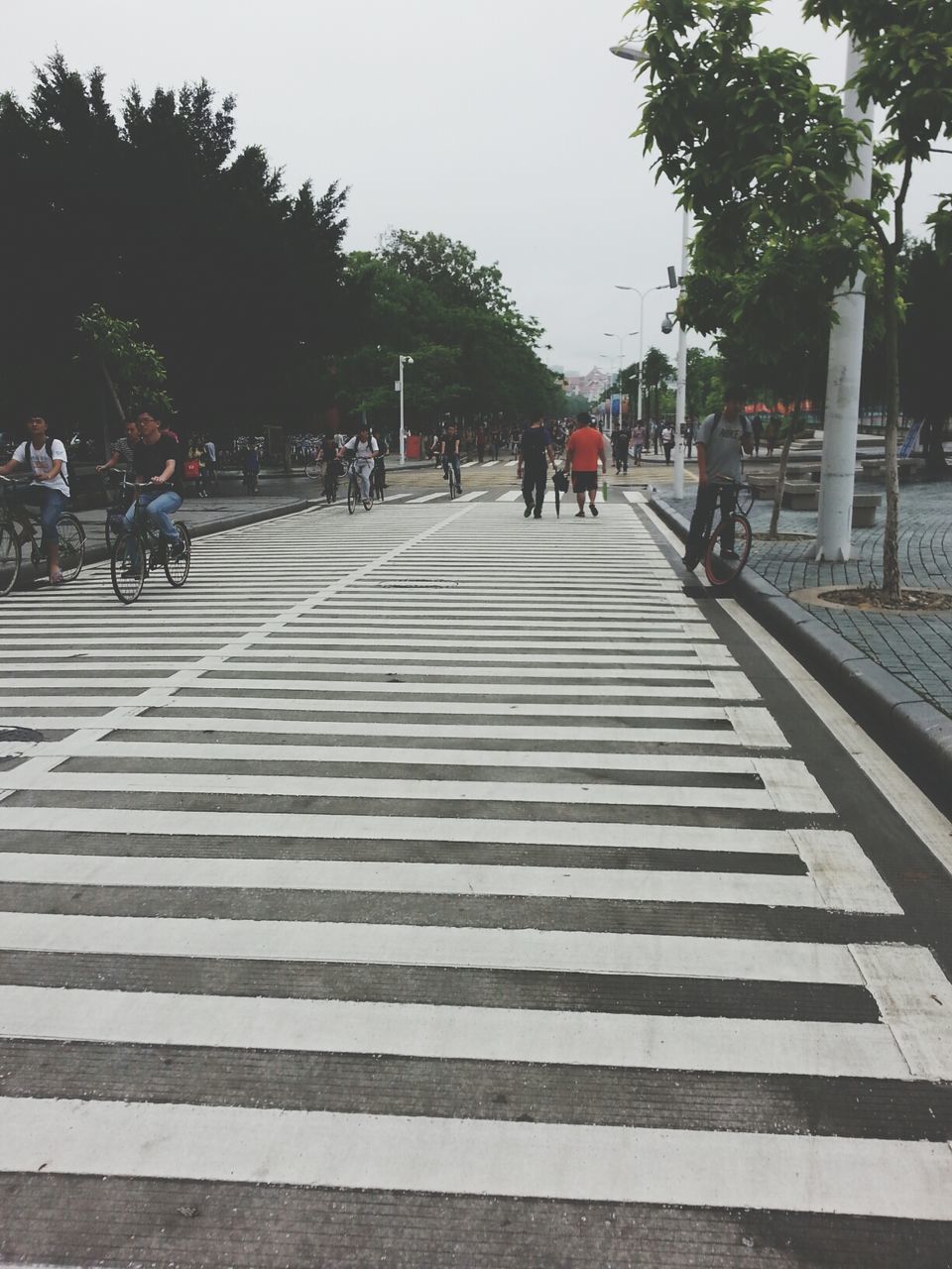 the way forward, tree, street, transportation, men, person, walking, road, lifestyles, building exterior, diminishing perspective, road marking, city, incidental people, vanishing point, large group of people, leisure activity, clear sky, outdoors