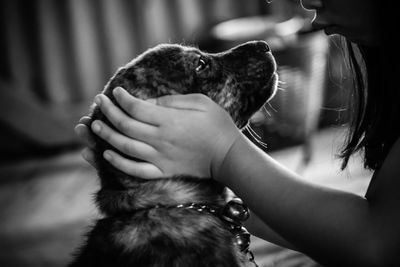 Close-up of hand holding puppy