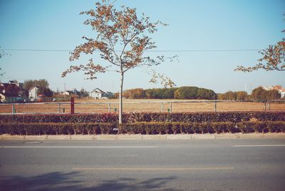 Road by trees against clear sky