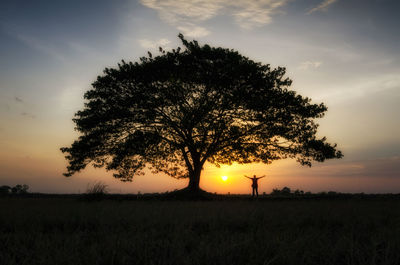 Silhouette tree on field against sky during sunset