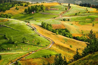 Winding road on hill in late summer