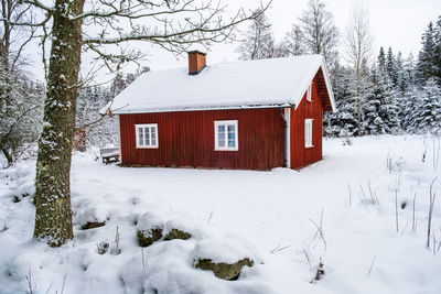 Red cottage with snow in the woods