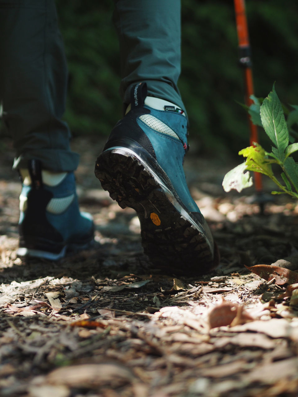 low section, human leg, human body part, body part, real people, day, nature, one person, selective focus, land, shoe, men, outdoors, lifestyles, plant, field, standing, boot, leaf, human foot, human limb, farmer, jeans, gardening, leaves