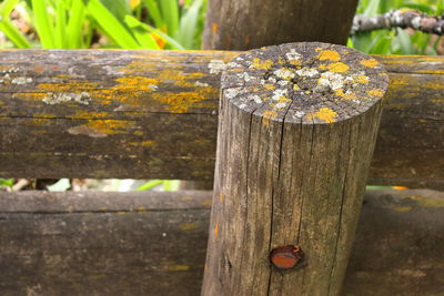 Close-up of wood fence 