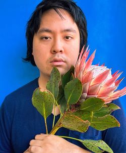 Portrait of young asian man holding pink king protea flower against blue background.