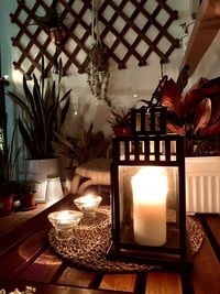 Illuminated lamp by potted plants on table at home