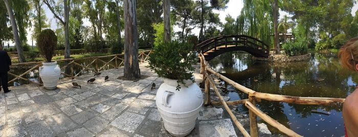 Scenic view of tree by bridge