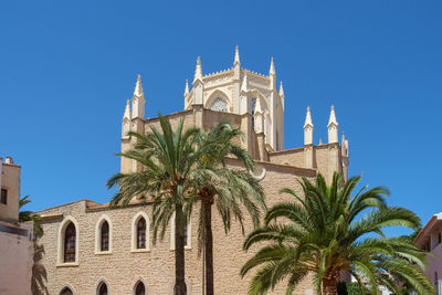 Low angle view of palm trees against blue sky