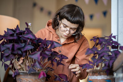 Girl removing dry purple leaves of oxalis plants at home with dry air from heating.