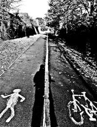 Shadow of tree on road