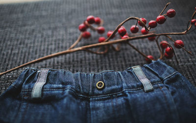 High angle view of berries on table