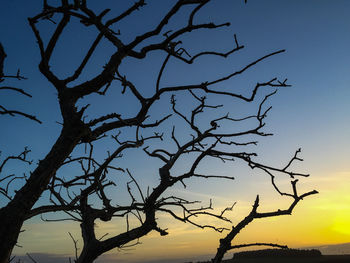 Low angle view of bare trees against sky