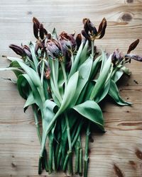 Close-up of plant growing on table