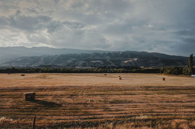 Scenic view of field against sky