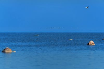 Scenic view of sea against clear blue sky