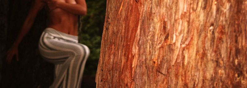 Close-up of woman hand on tree trunk