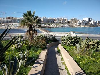 Plants by road in city by sea against sky