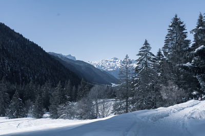 Snow covered mountains against sky