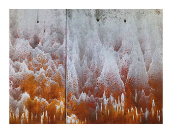 Digital composite image of trees in forest during winter