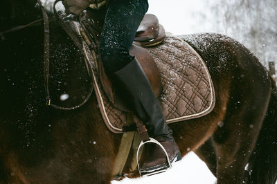 Low section of woman riding horse on snow covered field