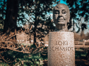 Close-up of statue against blurred background