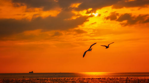 Silhouette bird flying over sea against orange sky