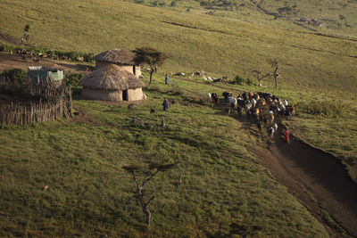 Group of people on field