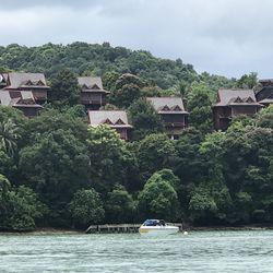 Scenic view of river by buildings and trees against sky