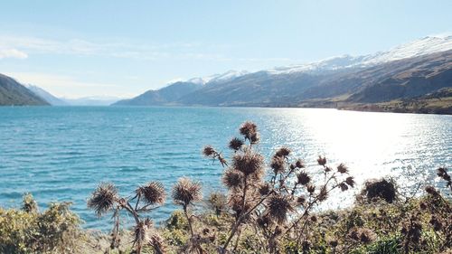 Scenic view of lake against sky