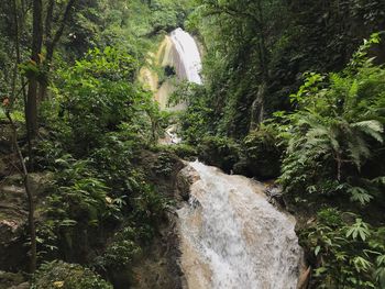 Scenic view of waterfall in forest