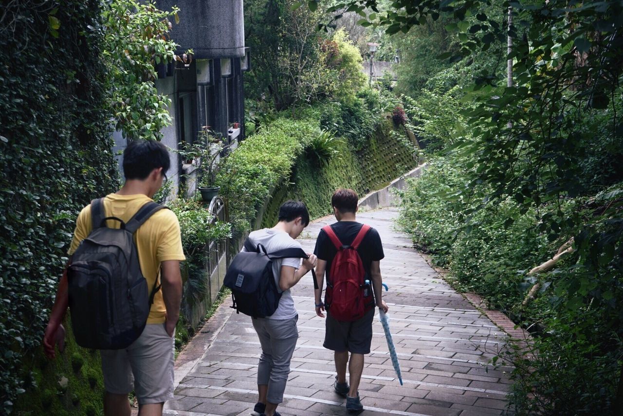 walking, hiking, rear view, backpack, tree, nature, real people, adventure, outdoors, forest, friendship, togetherness, day, beauty in nature, people, adult