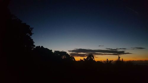 Silhouette trees on landscape at sunset