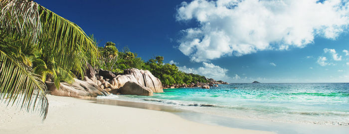 Beautiful tropical beach with palm trees and moody sky. beach scene and summer holiday concept