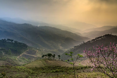 Scenic view of landscape and mountains against sky