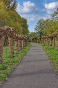 View of trees on landscape against sky