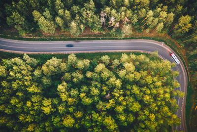 High angle view of road amidst trees