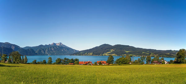 Scenic view of field against clear blue sky