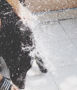 Low section of person standing in water